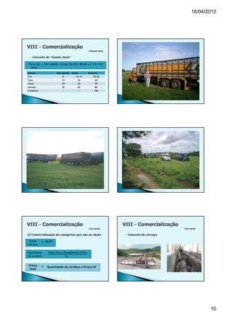 16/04/2012




                                                ( Animal Vivo)

     Conceito de “Gaiola cheia”

Preço do = km rodado x preço do litro diesel x 2   (Ida e volta)

  frete
Veículo               Bois gordos   Vacas       Bezerros
3/4                        8           10-12        18-20
Toco                      13            16           30
Truck                     18            20           35
Carreta                   35            40           80
2 andares                  -                -        120




                                                ( Da carne)                                  ( Da carne)

2) Comercialização de categorias que vão ao abate                     Conceito de carcaça

 Preço      = R$/@
carcaça

Quantidade   Peso Vivo x Rendimento (R%)
de arrobas =             15


Preço       =   Quantidade de arrobas x Preço/@
final




                                                                                                           10
 