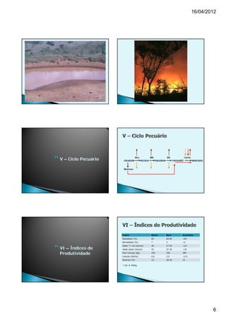 16/04/2012




                                    Bez.            BM              BG                 Carne
V – Ciclo Pecuário    CRIADOR              RECRIA         ENGORDA           FRIGORÍF           MERCADO


                      Matrizes




                     Índice                         Brasil          Bom            Excelente
                     Natalidade (%)                 60              80-85          >85
                     Mortalidade (%)                7               2              <2
                     Idade 1ª cria (meses)          40              27-30          >24
VI – Índices de      Idade abate (meses)            42              24 30
                                                                    24-30          >24

Produtividade        Peso Carcaça (kg)              230             250            280
                     Lotação (UA/ha)                0,8             2,0            >2,0
                     Desfrute (%)                   23              28-30          33

                     1 UA  450kg




                                                                                                         6
 