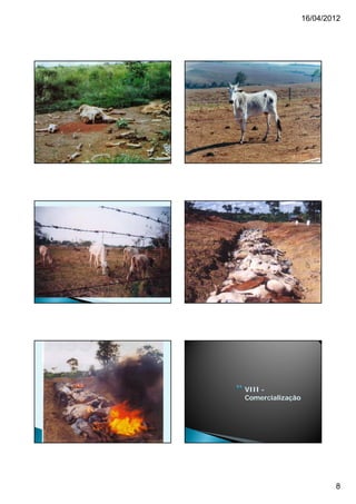 16/04/2012




VIII -
Comercialização




                          8
 