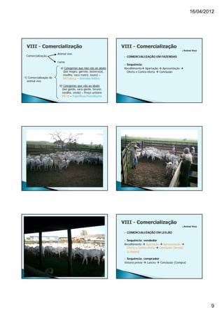 16/04/2012




                                                                                                         ( Animal Vivo)
                        Animal vivo
 Comercialização                                                  COMERCIALIZAÇÃO EM FAZENDAS
                        Carne
                                                               Sequência:
                          a) Categorias que não vão ao abate   Recolhimento Apartação  Apresentação 
                            (boi
                            (b i magro, garrote, bezerro(a),
                                             t b         ( )    Oferta x Contra-oferta  Conclusão
                                                                                                ã
                            novilha, vaca matriz, touro) –
1) Comercialização do       R$/cabeça - fazendas/leilões
  animal vivo
                         b) Categorias que vão ao abate
                           (boi gordo, vaca gorda, toruno,
                           novilha, vitelo) – Preço unitário
                           R$/@ – frigoríficos/matadouros




                                                                                                         ( Animal Vivo)

                                                                  COMERCIALIZAÇÃO EM LEILÃO

                                                                Sequência: vendedor
                                                               Recolhimento  Apartação  Apresentação 
                                                                 Oferta x Contra-oferta  Conclusão (Venda)
                                                                                                 ã
                                                               - (Leiloeira)


                                                                Sequência: comprador
                                                               Vistoria prévia  Lances  Conclusão (Compra)




                                                                                                                          9
 