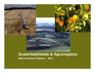 Sustentabilidade & Agronegócio
Marco Antonio Fujihara 2013
 