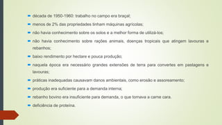  década de 1950-1960: trabalho no campo era braçal;
 menos de 2% das propriedades tinham máquinas agrícolas;
 não havia conhecimento sobre os solos e a melhor forma de utilizá-los;
 não havia conhecimento sobre rações animais, doenças tropicais que atingem lavouras e
rebanhos;
 baixo rendimento por hectare e pouca produção;
 naquela época era necessário grandes extensões de terra para convertes em pastagens e
lavouras;
 práticas inadequadas causavam danos ambientais, como erosão e assoreamento;
 produção era suficiente para a demanda interna;
 rebanho bovino era insuficiente para demanda, o que tornava a carne cara.
 deficiência de proteína.
 