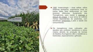 1990: biotecnologia – duas safras: utiliza
sistemas biológicos, organismos vivos ou
partes deles para desenvolver ou criar
produtos diferentes. Surgimento dos
Transgênicos, para resistir a doenças e
ataque de pragas, o que torna os cultivos
menos dependentes de pesticidas, com
benefícios ambientais e para a saúde dos
consumidores.
 Os transgênicos mais cultivados são
aqueles que conferem resistência a vários
insetos através da produção de toxinas
de Bacillus thuringiensis (Bt) e resistência a
herbicidas, especialmente o glifosato.
 