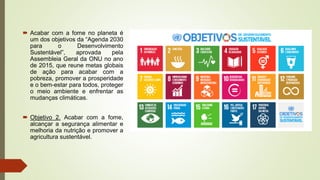  Acabar com a fome no planeta é
um dos objetivos da “Agenda 2030
para o Desenvolvimento
Sustentável”, aprovada pela
Assembleia Geral da ONU no ano
de 2015, que reune metas globais
de ação para acabar com a
pobreza, promover a prosperidade
e o bem-estar para todos, proteger
o meio ambiente e enfrentar as
mudanças climáticas.
 Objetivo 2. Acabar com a fome,
alcançar a segurança alimentar e
melhoria da nutrição e promover a
agricultura sustentável.
 
