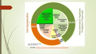 Fonte: https://www.embrapa.br/car/sintese
 