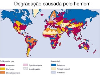 Degradação causada pelo homem
 