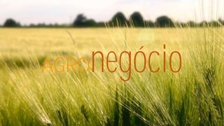 negócio

AGRO

 