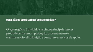 O agronegócio é dividido em cinco principais setores
produtivos: insumos, produção, processamento e
transformação, distribuição e consumo e serviços de apoio.
QUAIS SÃO OS CINCO SETORES DO AGRONEGÓCIO?
 
