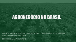 AGRONEGÓCIO NO BRASIL
PROFESSORA: ANA KARENINE
ALUNOS: AMANDA SABRINA, LARA ALENUSKE, LORENA ESTHE, EVELYN MUNIZ,
GEOVANY PEREIRA, DIELISON
 