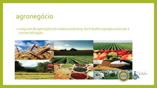 agronegócio
• conjunto de operações da cadeia produtiva, do trabalho agropecuário até a
comercialização.
 
