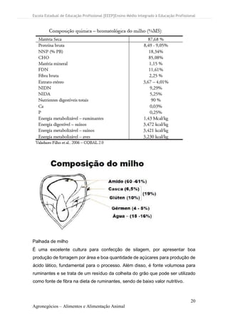 Escola Estadual de Educação Profissional [EEEP]Ensino Médio Integrado à Educação Profissional
20
Agronegócios – Alimentos e Alimentação Animal
Palhada de milho
É uma excelente cultura para confecção de silagem, por apresentar boa
produção de forragem por área e boa quantidade de açúcares para produção de
ácido lático, fundamental para o processo. Além disso, é fonte volumosa para
ruminantes e se trata de um resíduo da colheita do grão que pode ser utilizado
como fonte de fibra na dieta de ruminantes, sendo de baixo valor nutritivo.
 