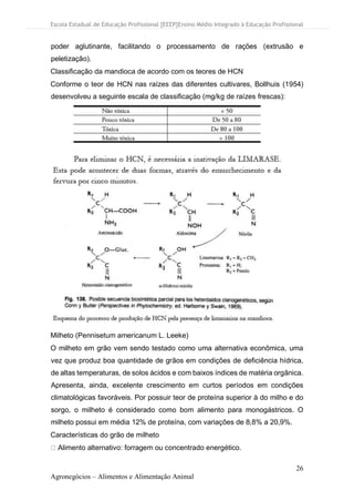 Escola Estadual de Educação Profissional [EEEP]Ensino Médio Integrado à Educação Profissional
26
Agronegócios – Alimentos e Alimentação Animal
poder aglutinante, facilitando o processamento de rações (extrusão e
peletização).
Classificação da mandioca de acordo com os teores de HCN
Conforme o teor de HCN nas raízes das diferentes cultivares, Bollhuis (1954)
desenvolveu a seguinte escala de classificação (mg/kg de raízes frescas):
Milheto (Pennisetum americanum L. Leeke)
O milheto em grão vem sendo testado como uma alternativa econômica, uma
vez que produz boa quantidade de grãos em condições de deficiência hídrica,
de altas temperaturas, de solos ácidos e com baixos índices de matéria orgânica.
Apresenta, ainda, excelente crescimento em curtos períodos em condições
climatológicas favoráveis. Por possuir teor de proteína superior à do milho e do
sorgo, o milheto é considerado como bom alimento para monogástricos. O
milheto possui em média 12% de proteína, com variações de 8,8% a 20,9%.
Características do grão de milheto
Alimento alternativo: forragem ou concentrado energético.
 