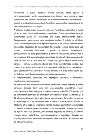 Escola Estadual de Educação Profissional [EEEP]Ensino Médio Integrado à Educação Profissional
84
Agronegócios – Alimentos e Alimentação Animal
moniliforme e outras espécies menos comuns, estão ligadas à
carcinogenicidade, sendo comprovadamente tóxicos para porcos e aves
domésticas. Nos cavalos, é causadora da leucoencefalomalácia equina (fatal).
a citrinina, produzida por espécies de Penicillium e Aspergillus, causa dano renal,
vasodilatação e broncoconstição.
A patulina, produzida por fungos dos gêneros Penicillium, Aspergillus e outros
gêneros, causa hemorragia ao cérebro e pulmões. Embora associada a maçãs
fermentadas, pode ser encontrada em frutos aparentemente sadios.
Curiosamente, sabe-se que esta substância também é dotada de atividade
contra bactérias gram-positivas e gram-negativas, e até sobre o Mycobacterium
tuberculosis (causador da tuberculose). No entanto, é muito tóxica para uso
humano, causando hiperemia, congestão e lesões hemorrágicas,
particularmente no trato gastrintestinal. É também mutagênica, teratogênica e
carcinogênica. O limite aceitável em alimentos é de 50 mg/L. Sua presença já foi
detectada em sucos produzidos na Turquia, Portugal e Bélgica, entre outros
países --- embora geralmente abaixo dos níveis considerados tóxicos. Sua
presença em sucos fermentados e sidras é diminuída devido ao metabolismo
pela Saccharomyces cerevisiae. Vários estudos têm sido feitos sobre seu
controle por meio de conservantes e embalagens especiais.
A sterigmatocistina, produzida pelo Aspergillus versicolor, é nefrotóxica,
hepatotóxica e carcinogênica.
As aflatoxinas são encontradas no milho, amendoim, nozes, algodão e outras
sementes oleosas, bem como em seus produtos secundários. Foram
descobertas em 1960, na Inglaterra, após a morte de 1.000.000.000 de aves que
se alimentaram com torta de amendoim procedente do Brasil. As formas B1 e
B2 são produzidas pelo Aspergillus flavus; além dessas,o Aspergillus parasiticus
é capaz de produzir as formas G1 e G2. A forma M é o metabólito principal da
aflatoxina B1, e pode ser encontrada no leite de vacas que tenham comido ração
contaminada. A Aflatoxina é causadora de necrose aguda, cirrose e carcinoma
de fígado (seu alvo principal) em diversas espécies de animai.; é também
referida como mutagênica, imunossupressora e neoplásic. Estudos em
populações africanas e sul-asiáticas sugerem a associação de câncer com o teor
de aflatoxina na dieta.
 