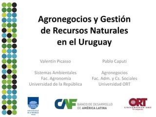 Agronegocios y Gestión
de Recursos Naturales
en el Uruguay
Valentín Picasso

Pablo Caputi

Sistemas Ambientales
Fac. Agronomía
Universidad de la República

Agronegocios
Fac. Adm. y Cs. Sociales
Universidad ORT

 