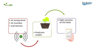 • Air temperature
• Air humidity
• Leaf wetness
• Prediction
models
• Right activities
on the fields
 
