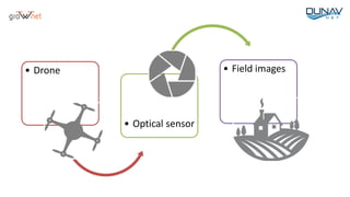 • Drone
• Optical sensor
• Field images
 