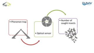 • Pheromon trap
• Optical sensor
• Number of
caught insects
 