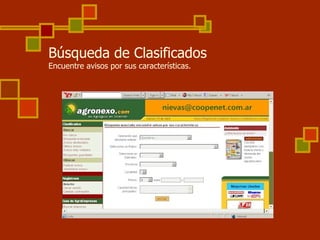 Búsqueda de Clasificados Encuentre avisos por sus características. 