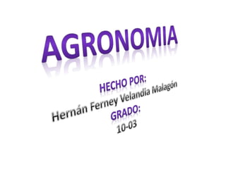 Agronomia2