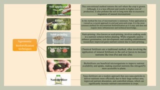 Agronomic Biofortification via Integrated Nutrient Management ...