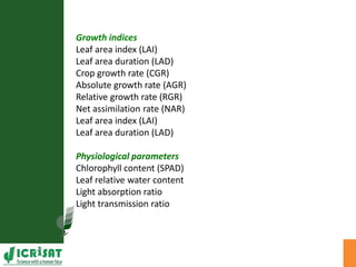 Agronomic investigations on tall chickpea genotypes suitable for mechanical harvesting