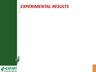 Agronomic investigations on tall chickpea genotypes suitable for mechanical harvesting