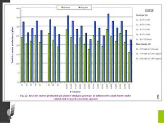 Agronomic investigations on tall chickpea genotypes suitable for mechanical harvesting