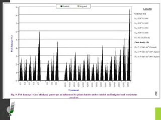 Agronomic investigations on tall chickpea genotypes suitable for mechanical harvesting