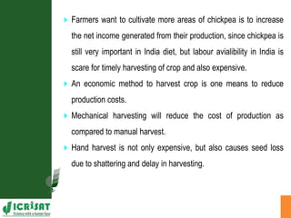 Agronomic investigations on tall chickpea genotypes suitable for mechanical harvesting