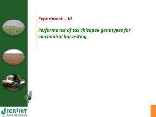 Agronomic investigations on tall chickpea genotypes suitable for mechanical harvesting