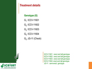 Agronomic investigations on tall chickpea genotypes suitable for mechanical harvesting