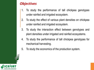 Agronomic investigations on tall chickpea genotypes suitable for mechanical harvesting