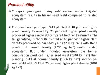 Agronomic investigations on tall chickpea genotypes suitable for mechanical harvesting