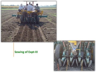 Agronomic investigations on tall chickpea genotypes suitable for mechanical harvesting