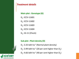 Agronomic investigations on tall chickpea genotypes suitable for mechanical harvesting