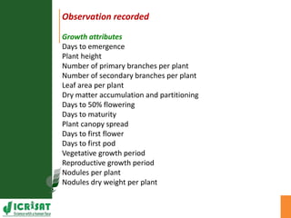 Agronomic investigations on tall chickpea genotypes suitable for mechanical harvesting