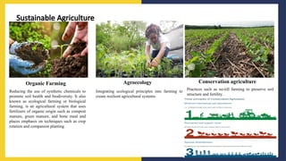 Agronomic practices for the production.pptx