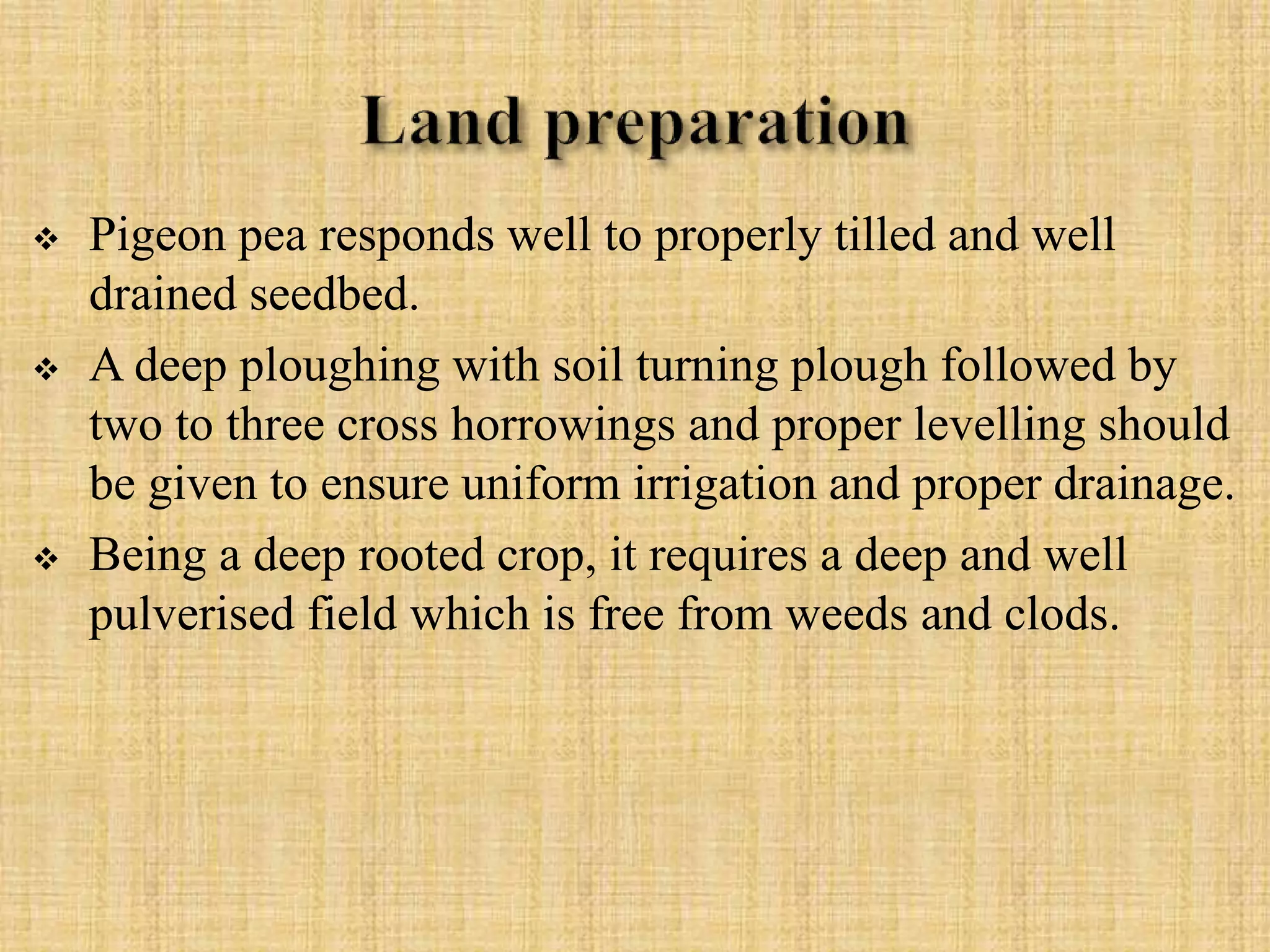  Pigeon pea responds well to properly tilled and well
drained seedbed.
 A deep ploughing with soil turning plough followed by
two to three cross horrowings and proper levelling should
be given to ensure uniform irrigation and proper drainage.
 Being a deep rooted crop, it requires a deep and well
pulverised field which is free from weeds and clods.
 