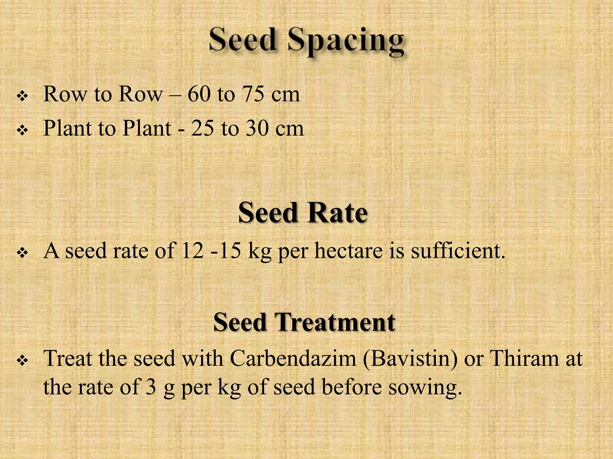 Row to Row – 60 to 75 cm
 Plant to Plant - 25 to 30 cm
Seed Rate
 A seed rate of 12 -15 kg per hectare is sufficient.
Seed Treatment
 Treat the seed with Carbendazim (Bavistin) or Thiram at
the rate of 3 g per kg of seed before sowing.
 