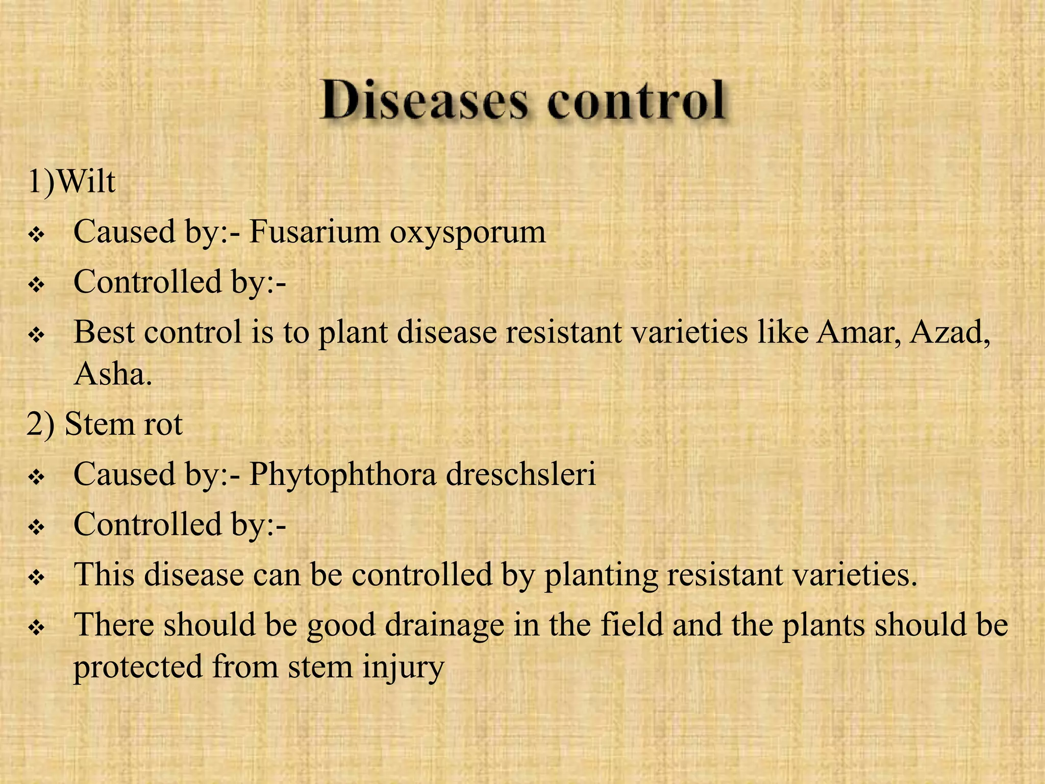 1)Wilt
 Caused by:- Fusarium oxysporum
 Controlled by:-
 Best control is to plant disease resistant varieties like Amar, Azad,
Asha.
2) Stem rot
 Caused by:- Phytophthora dreschsleri
 Controlled by:-
 This disease can be controlled by planting resistant varieties.
 There should be good drainage in the field and the plants should be
protected from stem injury
 