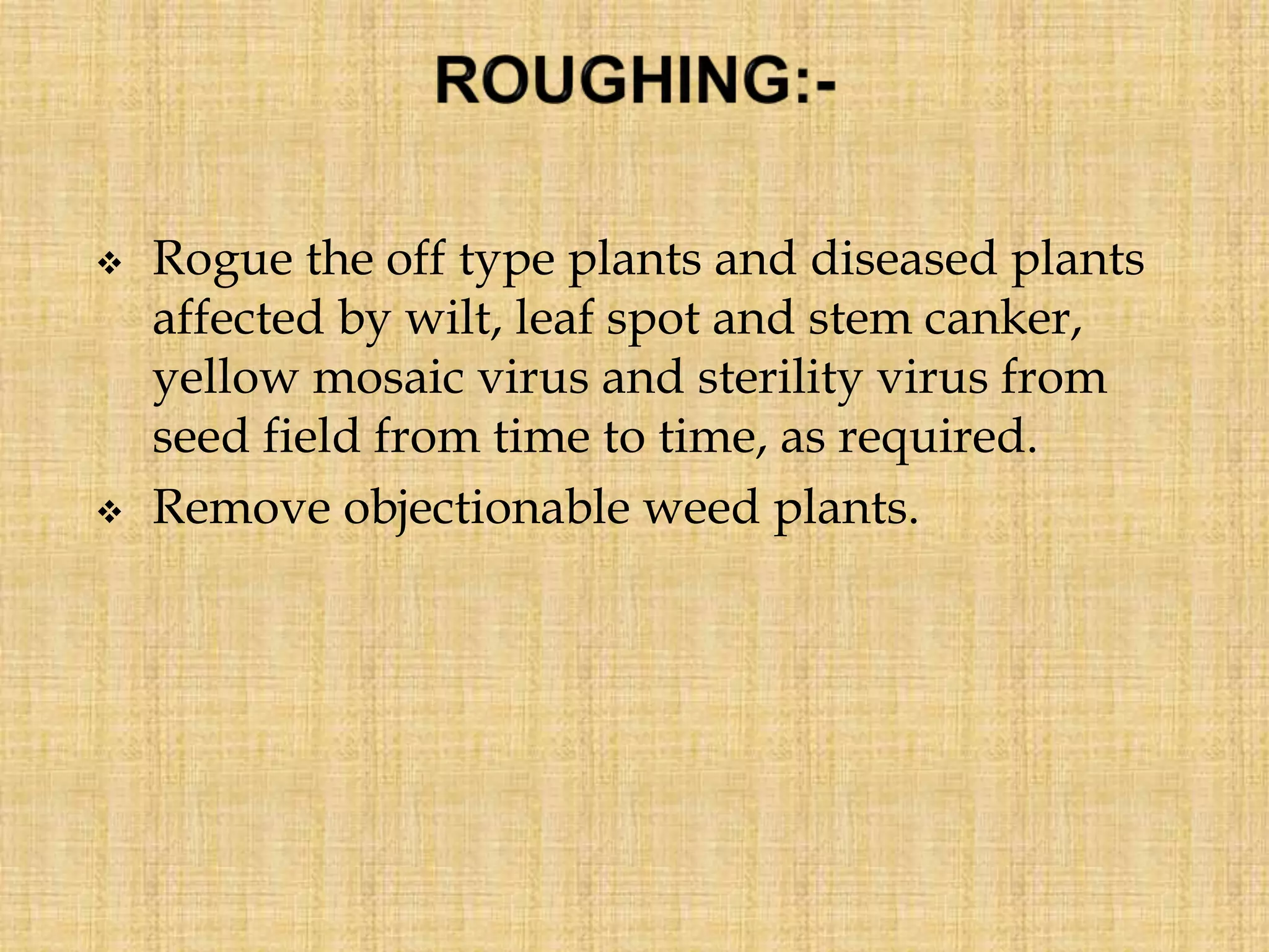  Rogue the off type plants and diseased plants
affected by wilt, leaf spot and stem canker,
yellow mosaic virus and sterility virus from
seed field from time to time, as required.
 Remove objectionable weed plants.
 
