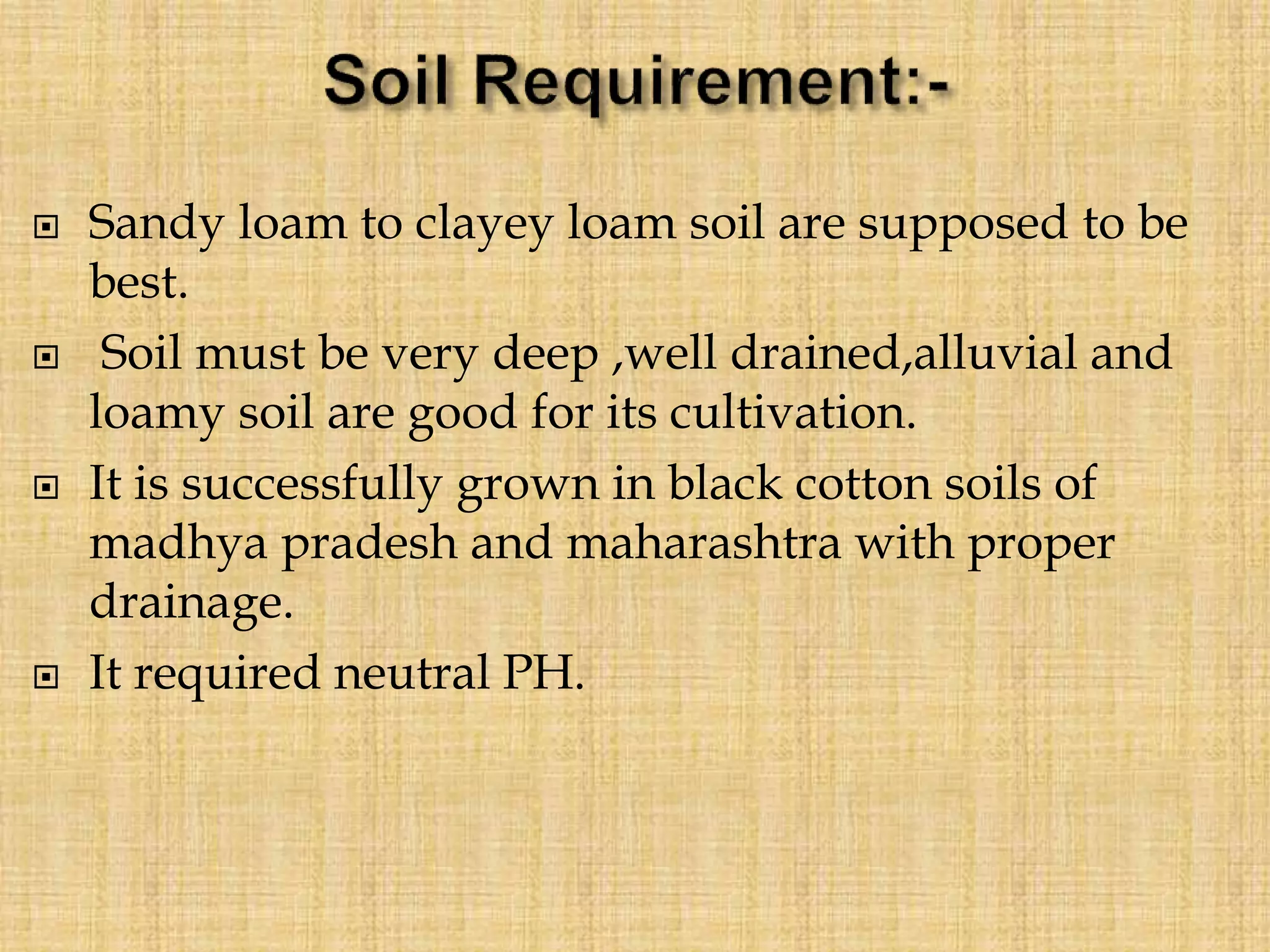  Sandy loam to clayey loam soil are supposed to be
best.
 Soil must be very deep ,well drained,alluvial and
loamy soil are good for its cultivation.
 It is successfully grown in black cotton soils of
madhya pradesh and maharashtra with proper
drainage.
 It required neutral PH.
 