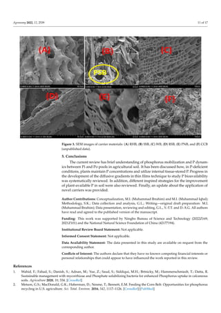 Agronomy 2022, 12, 2539 11 of 17
Figure 3. SEM images of carrier materials: (A) RHB, (B) SSB, (C) WB, (D) RSB, (E) PNB, and (F) CCB
(unpublished data).
5. Conclusions
The current review has brief understanding of phosphorus mobilization and P dynam-
ics between Pi and Po pools in agricultural soil. It has been discussed how, in P-deficient
conditions, plants maintain P concentrations and utilize internal tissue-stored P. Progress in
the development of the diffusive gradients in thin films technique to study P bioavailability
was systematically reviewed. In addition, different inspired strategies for the improvement
of plant-available P in soil were also reviewed. Finally, an update about the application of
novel carriers was provided.
Author Contributions: Conceptualization, M.I. (Muhammad Ibrahim) and M.I. (Muhammad Iqbal);
Methodology, S.K.; Data collection and analysis, G.L.; Writing—original draft preparation: M.I.
(Muhammad Ibrahim); Data presentation, reviewing and editing, G.L., Y.-T.T. and D.-X.G. All authors
have read and agreed to the published version of the manuscript.
Funding: This work was supported by Ningbo Bureau of Science and Technology (2022Z169,
2021Z101) and the National Natural Science Foundation of China (42177194).
Institutional Review Board Statement: Not applicable.
Informed Consent Statement: Not applicable.
Data Availability Statement: The data presented in this study are available on request from the
corresponding author.
Conflicts of Interest: The authors declare that they have no known competing financial interests or
personal relationships that could appear to have influenced the work reported in this review.
References
1. Wahid, F.; Fahad, S.; Danish, S.; Adnan, M.; Yue, Z.; Saud, S.; Siddiqui, M.H.; Brtnicky, M.; Hammerschmiedt, T.; Datta, R.
Sustainable management with mycorrhizae and Phosphate solubilizing bacteria for enhanced Phosphorus uptake in calcareous
soils. Agriculture 2020, 10, 334. [CrossRef]
2. Metson, G.S.; MacDonald, G.K.; Haberman, D.; Nesme, T.; Bennett, E.M. Feeding the Corn Belt: Opportunities for phosphorus
recycling in U.S. agriculture. Sci. Total. Environ. 2016, 542, 1117–1126. [CrossRef] [PubMed]
 