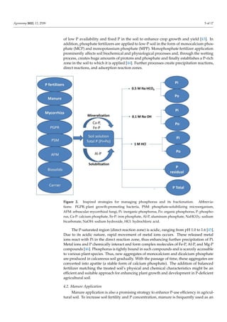 Agronomy 2022, 12, 2539 5 of 17
of low P availability and fixed P in the soil to enhance crop growth and yield [43]. In
addition, phosphate fertilizers are applied to low-P soil in the form of monocalcium phos-
phate (MCP) and monopotassium phosphate (MPP). Monophosphate fertilizer application
prominently affects soil biochemical and physiological processes and, through the wetting
process, creates huge amounts of protons and phosphate and finally establishes a P-rich
zone in the soil to which it is applied [44]. Further processes create precipitation reactions,
direct reactions, and adsorption reaction zones.
Figure 2. Inspired strategies for managing phosphorus and its fractionation. Abbrevia-
tions: PGPR: plant growth-promoting bacteria, PSM: phosphate-solubilizing microorganism,
AFM: arbuscular mycorrhizal fungi, Pi: inorganic phosphorus, Po: organic phosphorus, P: phospho-
rus, Ca-P: calcium phosphate, Fe-P: iron phosphate, Al-P, aluminum phosphate, NaHCO3: sodium
bicarbonate, NaOH: sodium hydroxide, HCl: hydrochloric acid.
The P-saturated region (direct reaction zone) is acidic, ranging from pH 1.0 to 1.6 [45].
Due to its acidic nature, rapid movement of metal ions occurs. These released metal
ions react with Pi in the direct reaction zone, thus enhancing further precipitation of Pi.
Metal ions and P chemically interact and form complex molecules of Fe-P, Al-P, and Mg-P
compounds [46]. Phosphorus is tightly bound in such compounds and is scarcely accessible
to various plant species. Thus, new aggregates of monocalcium and dicalcium phosphate
are produced in calcareous soil gradually. With the passage of time, these aggregates are
converted into apatite (a stable form of calcium phosphate). The addition of balanced
fertilizer matching the treated soil’s physical and chemical characteristics might be an
efficient and suitable approach for enhancing plant growth and development in P-deficient
agricultural soil.
4.2. Manure Application
Manure application is also a promising strategy to enhance P-use efficiency in agricul-
tural soil. To increase soil fertility and P concentration, manure is frequently used as an
 