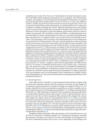 Agronomy 2022, 12, 2539 8 of 17
metabolized into carbon [88]. However, P mobilization in the plant rhizosphere associ-
ated with PSMs requires additional confirmation and investigation. The mineralization
of organic and inorganic P and microbial-activated phosphate solubilization are essential
processes through which microbes obtain P from soil. However, in some cases, PSMs are
unable to mobilize enough P above their demands to meet plant requirements. The P cycle
in soil and microbial biomass indeed demonstrate an essential pathway for P mobilization
in different, available, including soil, P pools. Different physiological processes disturb
organic P pools and thus render them unavailable to the plant–soil ecosystem [89]. The
importance of this mechanism in plant rhizospheres needs further research in detail in
complex environments. The inoculation of crops with PSMs is a method frequently used,
and some PSMs are already commercialized [90]. However, in long-term field applications,
these inoculants have to compete for their survival with native soil nematodes and mi-
crobes. This technology is still in its infancy and suitable approaches for the solubilization
of mineral-fixed P are being explored. The issues with the application of this technology
include (1) inoculum survival and colonization, (2) host plant inoculum specificity, and
the (3) limited commercialization value and insufficient effects on plant growth and de-
velopmental processes [91]. PSM inoculants are applied to the soil and fixed P becomes
solubilized; however, plant P uptake and biomass production are negatively affected by
phosphorus fixation in the microbial biomass [92]. A previous study [93] reported that the
application of phosphate-solubilizing bacteria along with nematodes efficiently enhanced
plant P uptake and available P. Phosphorus solubilization is also influenced by soil texture.
Aluminum (Al) and iron (Fe) chemical reactions with P in acidic or low-pH soil result in
P reduction. However, tricalcium phosphate (Ca3PO4)3 is formed in alkaline or high-pH
soil, reducing plant-available P in soil [94]. Thus, soil alkalinity causes P unavailability—a
process known as P fixation. Sorghum yield increased significantly after PSM inocula-
tion [95]. To increase P availability, bacterial species, such as Bacillus spp., Pseudomonas
spp., and Agrobacterium spp., are used as soil inoculants [96]. Phosphorus solubilization,
which involves local acidification or alkalization, has been observed in some Pseudomonas,
Cyanobacteria, and Bacillus species isolated from plant rhizospheres [97]. Organic phosphate
is the most abundant source of soil phosphate, but its compounds are complex (nucleic
acids, phospholipids, etc.) and must be transformed by microorganisms before they can be
absorbed by plants [98].
4.5. Biosolid Application
In the 1990s, the term “biosolid” was first introduced for the selection of liquid, solid,
and semi-solid materials produced from the treatment of domestic sewage sludge [99].
A satisfactory production process is needed for sludge to be applied to land [100]. For
decades, biosolids have been recommended economically, are socially acceptable, and are
part of traditional practices of land applications globally [101]. In addition, land application
of biosolids is a viable technology for industrial-waste management, generally proposed by
environmentalists. Biosolids contain large amounts of micro- and macroelements, such as
copper (Cu), zinc (Zn), iron (Fe), manganese (Mn), potassium (K), nitrogen (N), calcium
(Ca), sulphur (S), organic carbon (C), and phosphorus (P) [102,103]. These are essential
elements for plant growth processes and faunal survival in soil. Usually, in biosolids, most
P is in the form of aluminum phosphate, commonly adsorbed on the surfaces of calcium
phosphate and iron phosphate [104]. The total inorganic P present in biosolids ranges
from 70% to 90% [105]. Furthermore, biosolids contain smaller amounts of water-soluble
P [80] as well as organic P in the form of phospholipids, orthophosphate monoesters, and
orthophosphate diesters [106]. Wastewater-treatment-plant operations strongly affect the P
concentrations in biosolids [107].
Phosphate fertilizer application affects the dynamics of P in biosolids; however, not
all of the P in biosolids is available to plants [108]. Precipitation, dissolution, microbial
decomposition, desorption, and sorption of P occurs when biosolids are land-applied [109].
The above-mentioned processes may be slow or fast, depending on the biological and
 
