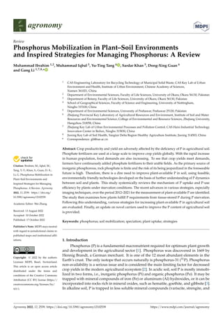 Citation: Ibrahim, M.; Iqbal, M.;
Tang, Y.-T.; Khan, S.; Guan, D.-X.;
Li, G. Phosphorus Mobilization in
Plant–Soil Environments and
Inspired Strategies for Managing
Phosphorus: A Review. Agronomy
2022, 12, 2539. https://doi.org/
10.3390/agronomy12102539
Academic Editor: Wei Zhang
Received: 13 August 2022
Accepted: 10 October 2022
Published: 17 October 2022
Publisher’s Note: MDPI stays neutral
with regard to jurisdictional claims in
published maps and institutional affil-
iations.
Copyright: © 2022 by the authors.
Licensee MDPI, Basel, Switzerland.
This article is an open access article
distributed under the terms and
conditions of the Creative Commons
Attribution (CC BY) license (https://
creativecommons.org/licenses/by/
4.0/).
agronomy
Review
Phosphorus Mobilization in Plant–Soil Environments
and Inspired Strategies for Managing Phosphorus: A Review
Muhammad Ibrahim 1,2, Muhammad Iqbal 3, Yu-Ting Tang 4 , Sardar Khan 5, Dong-Xing Guan 6
and Gang Li 1,7,8,*
1 CAS Engineering Laboratory for Recycling Technology of Municipal Solid Waste, CAS Key Lab of Urban
Environment and Health, Institute of Urban Environment, Chinese Academy of Sciences,
Xiamen 361021, China
2 Department of Environmental Sciences, Faculty of Life Sciences, University of Okara, Okara 56130, Pakistan
3 Department of Botany, Faculty of Life Sciences, University of Okara, Okara 56130, Pakistan
4 School of Geographical Sciences, Faculty of Science and Engineering, University of Nottingham,
Ningbo 315100, China
5 Department of Environmental Sciences, University of Peshawar, Peshawar 25120, Pakistan
6 Zhejiang Provincial Key Laboratory of Agricultural Resources and Environment, Institute of Soil and Water
Resources and Environmental Science, College of Environmental and Resource Sciences, Zhejiang University,
Hangzhou 310058, China
7 Zhejiang Key Lab of Urban Environmental Processes and Pollution Control, CAS Haixi Industrial Technology
Innovation Center in Beilun, Ningbo 315830, China
8 Jiaxing Key Lab of Soil Health, Yangtze Delta Region Healthy Agriculture Institute, Jiaxing 314503, China
* Correspondence: gli@iue.ac.cn
Abstract: Crop productivity and yield are adversely affected by the deficiency of P in agricultural soil.
Phosphate fertilizers are used at a large scale to improve crop yields globally. With the rapid increase
in human population, food demands are also increasing. To see that crop yields meet demands,
farmers have continuously added phosphate fertilizers to their arable fields. As the primary source of
inorganic phosphorous, rock phosphate is finite and the risk of its being jeopardized in the foreseeable
future is high. Therefore, there is a dire need to improve plant-available P in soil, using feasible,
environmentally friendly technologies developed on the basis of further understanding of P dynamics
between soil and plants. This study systemically reviews the mechanism of P uptake and P-use
efficiency by plants under starvation conditions. The recent advances in various strategies, especially
imaging techniques, over the period 2012–2021 for the measurement of plant-available P are identified.
The study then examines how plants fulfill P requirements from tissue-stored P during P starvation.
Following this understanding, various strategies for increasing plant-available P in agricultural soil
are evaluated. Finally, an update on novel carriers used to improve the P content of agricultural soil
is provided.
Keywords: phosphorus; soil mobilization; speciation; plant uptake; strategies
1. Introduction
Phosphorus (P) is a fundamental macronutrient required for optimum plant growth
and development in the agricultural sector [1]. Phosphorus was discovered in 1669 by
Hennig Brandt, a German merchant. It is one of the 12 most abundant elements in the
Earth’s crust. The only isotope that occurs naturally is phosphorus-31 (31P). Phosphorus
non-availability is a serious issue and is considered the main limiting factor for decreased
crop yields in the modern agricultural ecosystem [2]. In acidic soil, soil P is mostly immobi-
lized in two forms, i.e., inorganic phosphorus (Pi) and organic phosphorus (Po). It may be
trapped with mineral compounds of iron (Fe) or aluminum (Al) hydroxides, or it can be
incorporated into rocks rich in mineral oxides, such as hematite, goethite, and gibbsite [3].
In alkaline soil, P is trapped in less soluble mineral compounds (variscite, strengite, and
Agronomy 2022, 12, 2539. https://doi.org/10.3390/agronomy12102539 https://www.mdpi.com/journal/agronomy
 