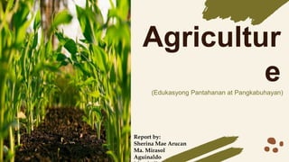 Agricultur
e
(Edukasyong Pantahanan at Pangkabuhayan)
Report by:
Sherina Mae Arucan
Ma. Mirasol
Aguinaldo
 