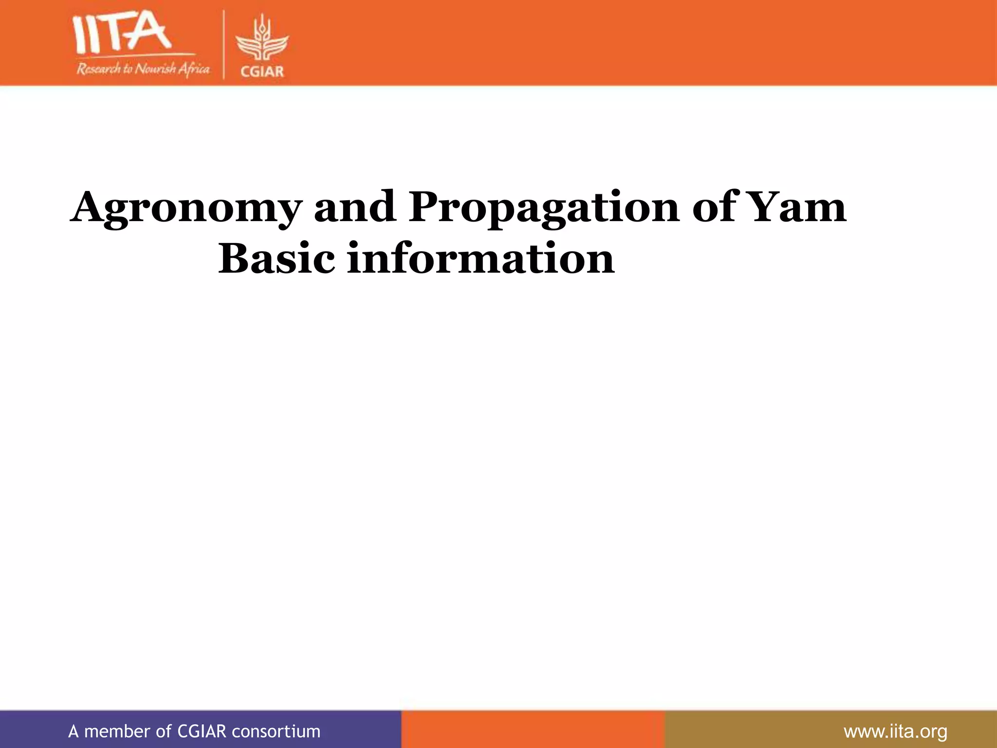 Agronomy and Propagation of Yam Basic information PPT
