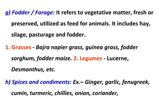 g) Fodder / Forage: It refers to vegetative matter, fresh or
preserved, utilized as feed for animals. It includes hay,
silage, pasturage and fodder.
1. Grasses - Bajra napier grass, guinea grass, fodder
sorghum, fodder maize. 2. Legumes - Lucerne,
Desmanthus, etc.
h) Spices and condiments: Ex.– Ginger, garlic, fenugreek,
cumin, turmeric, chillies, onion, coriander,
 