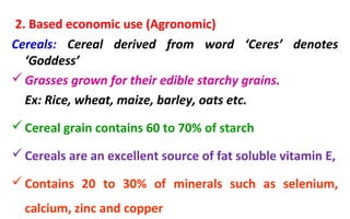 2. Based economic use (Agronomic)
Cereals: Cereal derived from word ‘Ceres’ denotes
‘Goddess’
Grasses grown for their edible starchy grains.
Ex: Rice, wheat, maize, barley, oats etc.
Cereal grain contains 60 to 70% of starch
Cereals are an excellent source of fat soluble vitamin E,
Contains 20 to 30% of minerals such as selenium,
calcium, zinc and copper
 